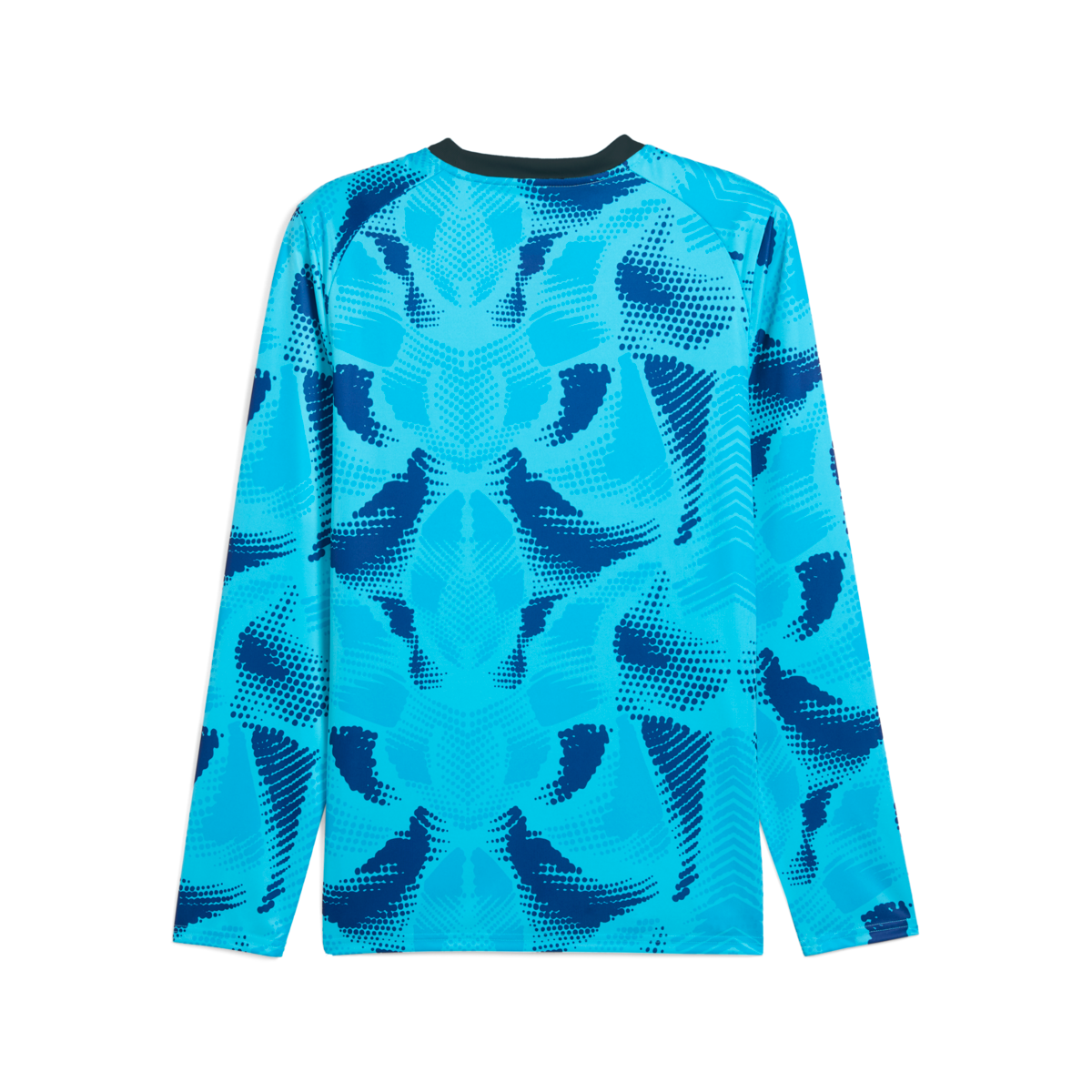 Puma Teamtarget Long Sleeve Goalkeeper Jersey - Blue