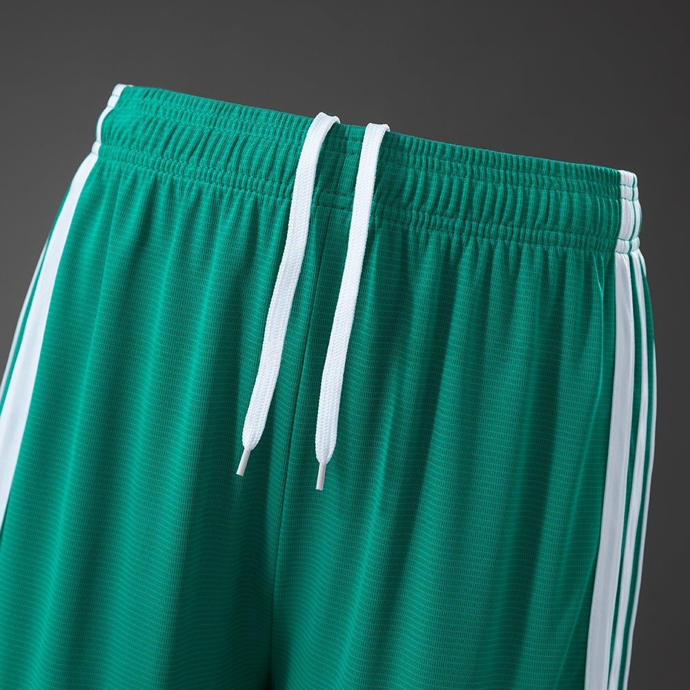 Northern Ireland Home Shorts 2026 Football Kit Soccer Shorts