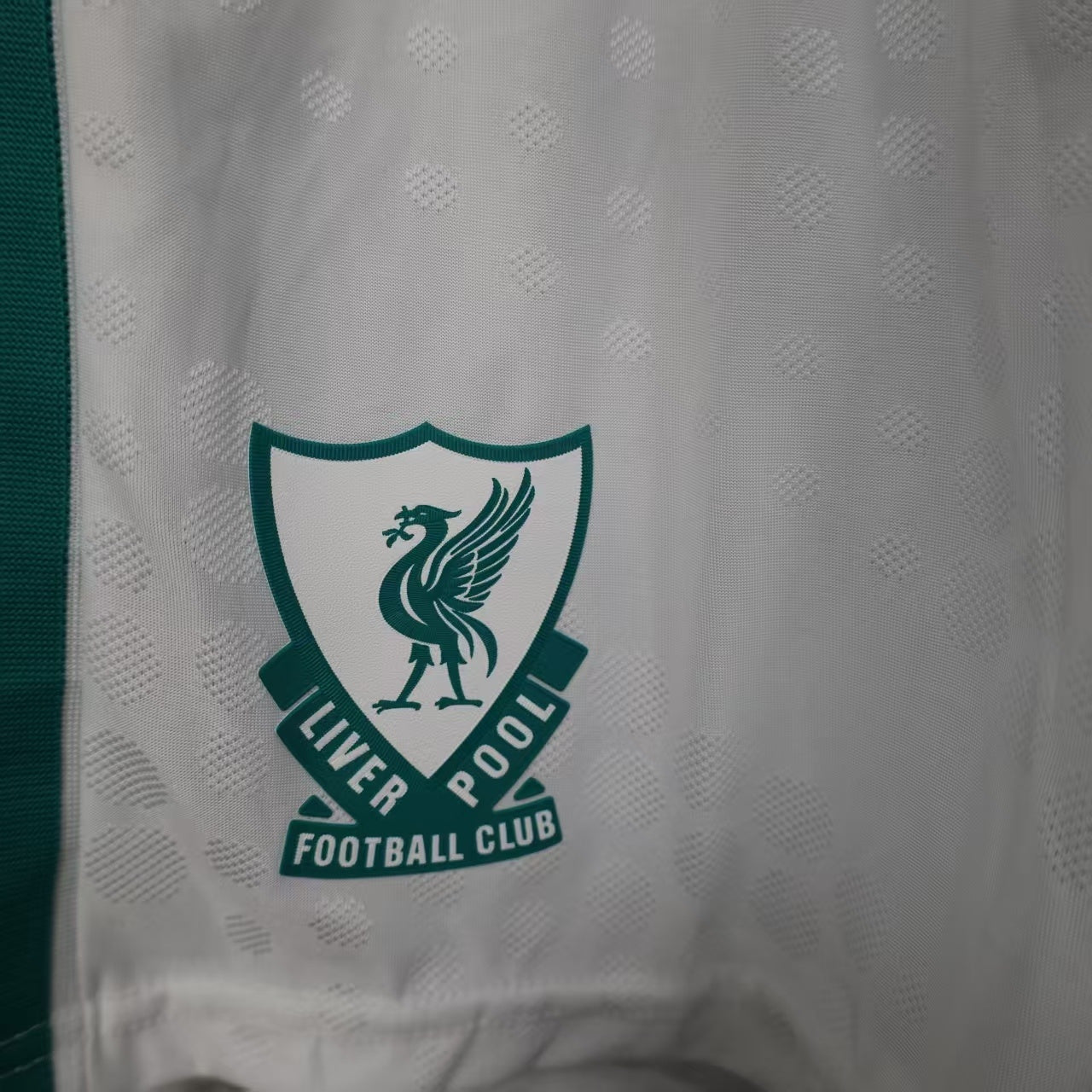 Player Version Liverpool Third Shorts 25/26 Football Kit Soccer Shorts