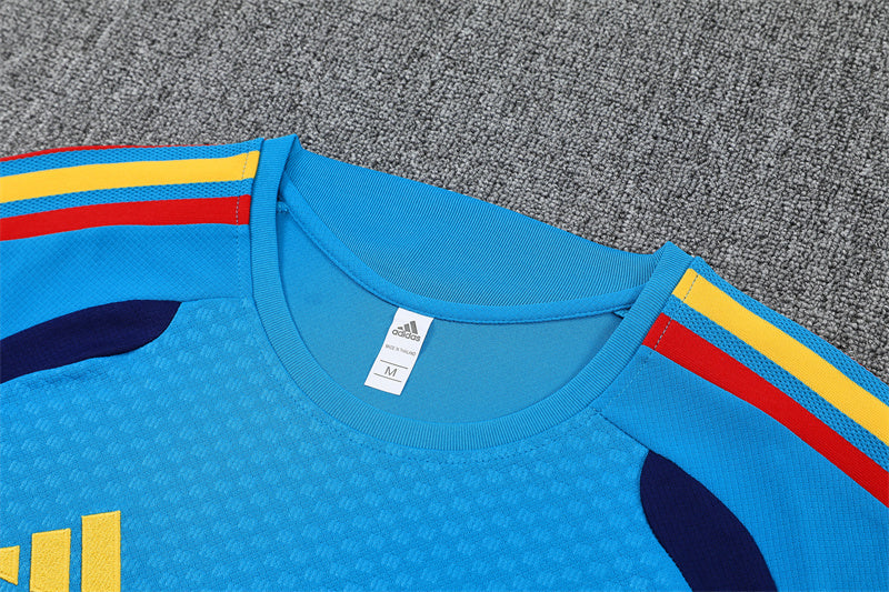 Spain Training Tracksuits 2026 Football Kit Soccer Shirt