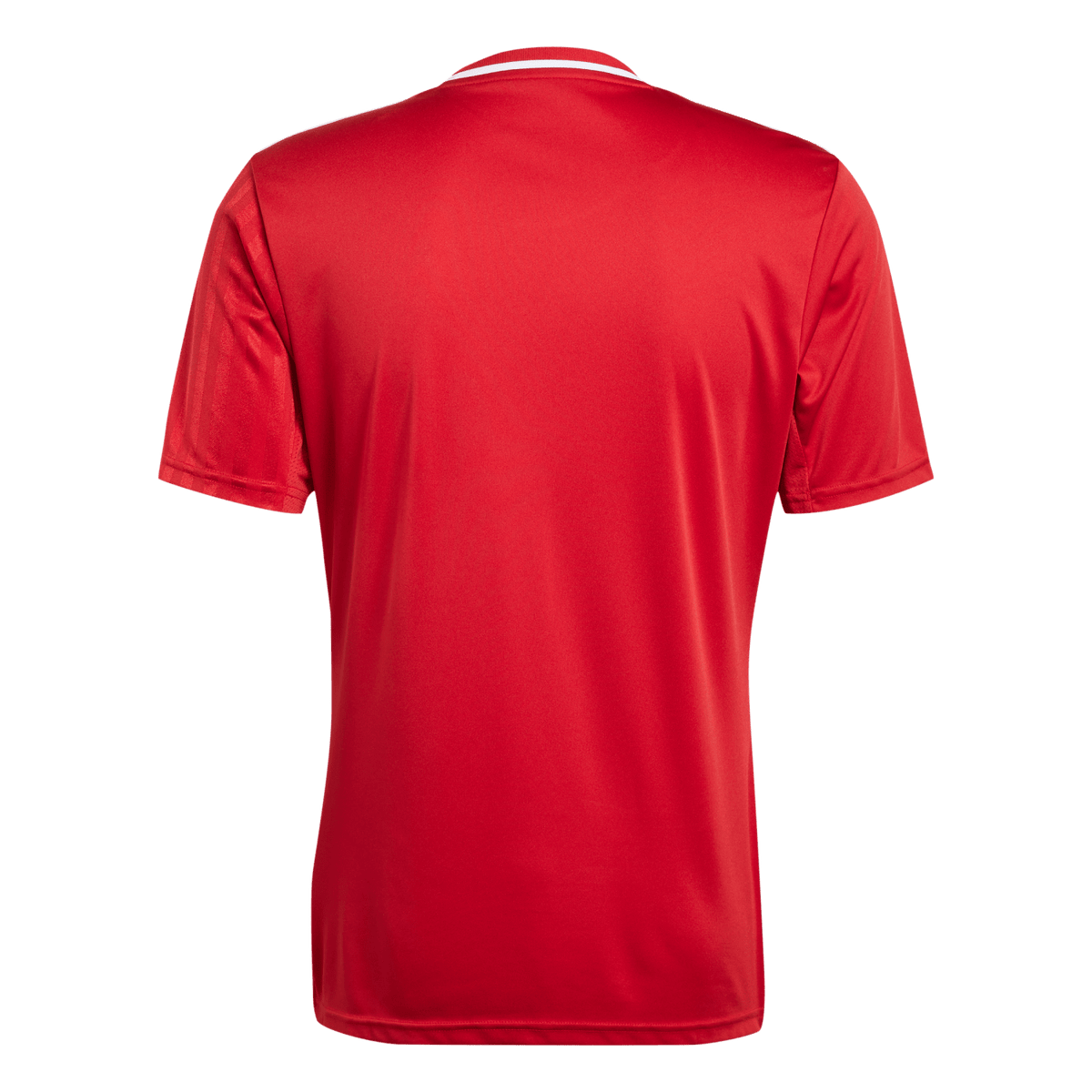 adidas Campeon 25 Jersey - Red