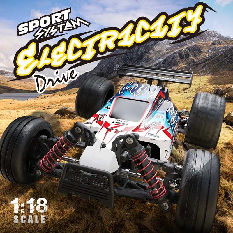 1/18 Scale 4WD Brushless High Speed Off-Road Climbing Waterproof Drift RC Car RTR