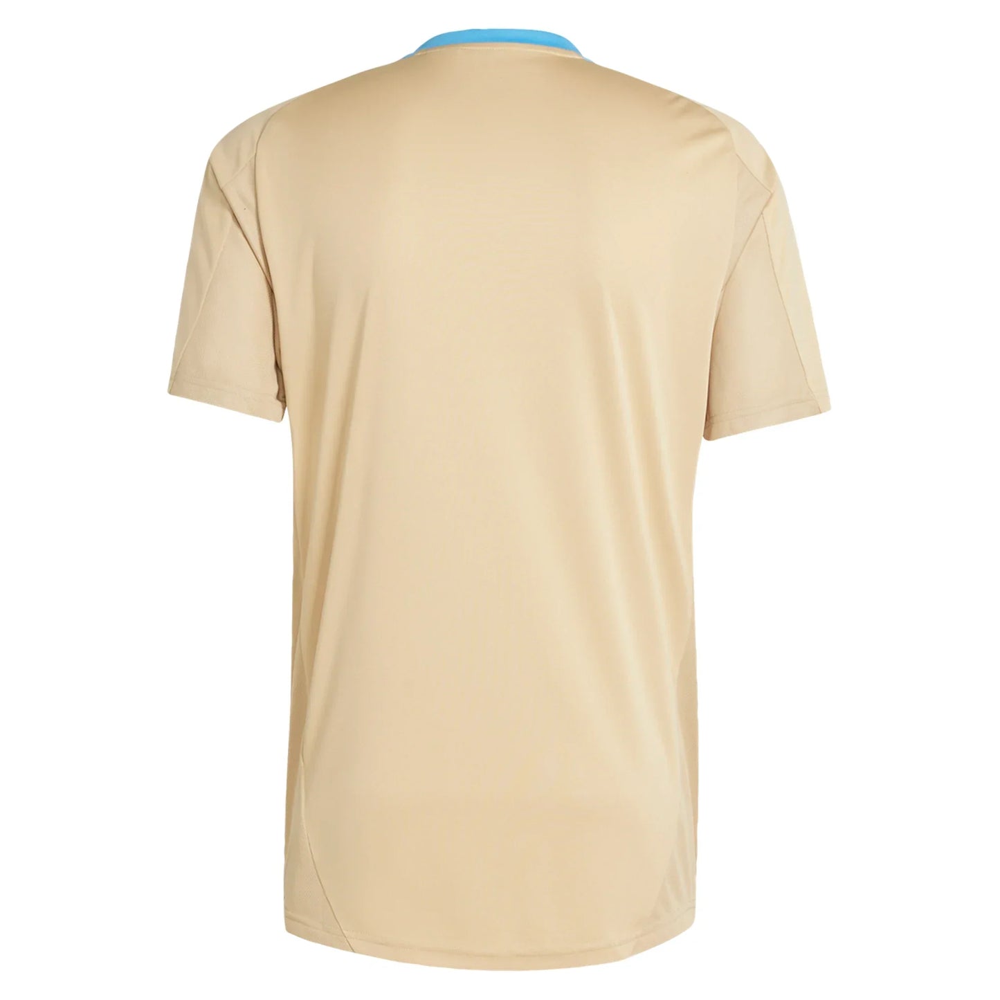 Adidas Argentina Training Jersey 2024