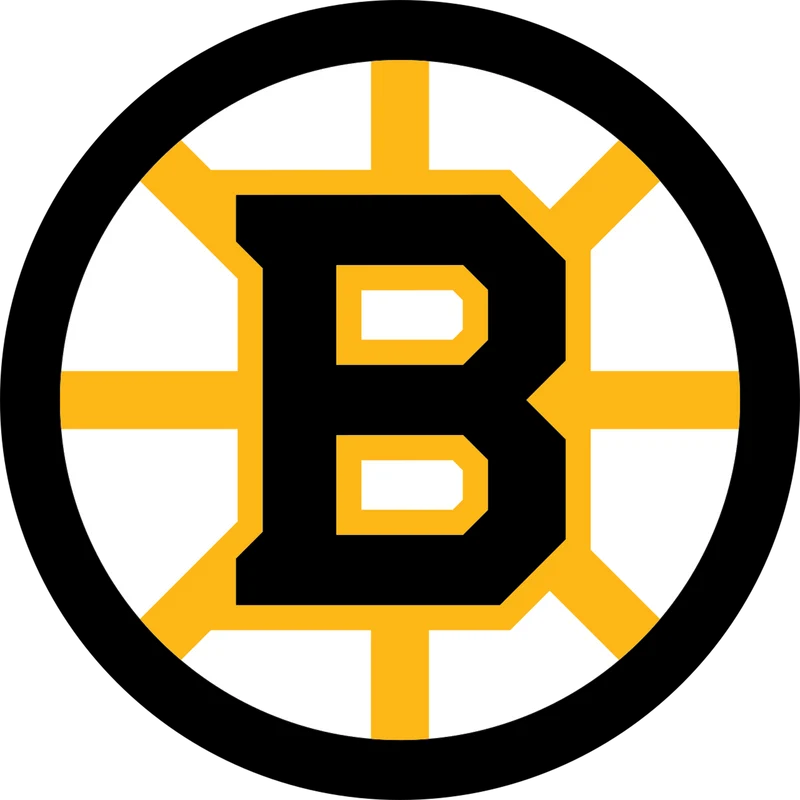 BOSTON BRUINS
