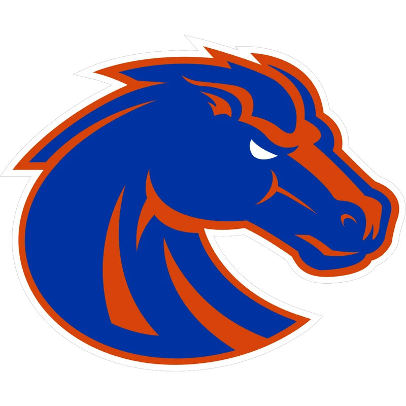 BOISE STATE BRONCOS