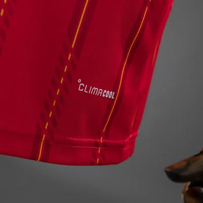 Spain Home Jersey 2026 World Cup Football Kit Soccer Jersey