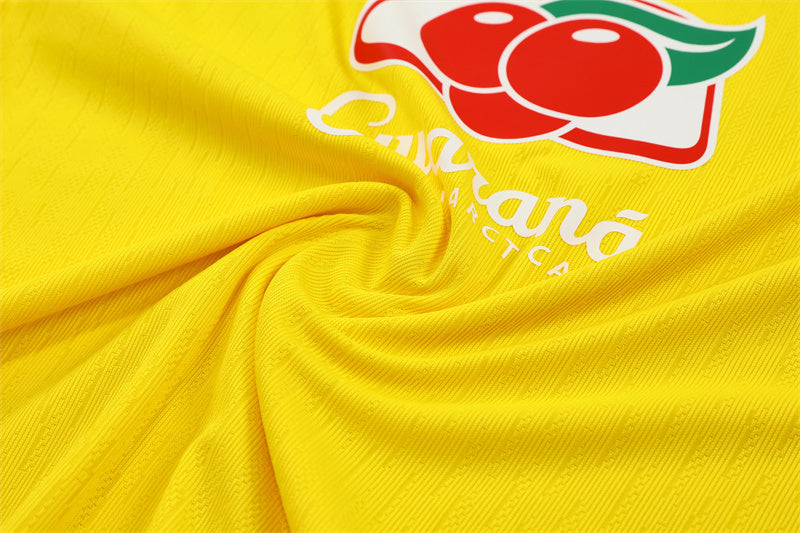 Player Version Brazil Training Tracksuits 25/26 Football Kit Soccer Jersey