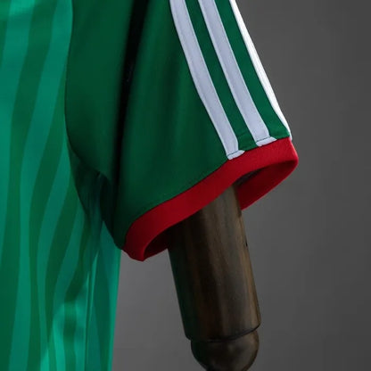 Algeria Away Jersey 2026 World Cup Football Kit Soccer Jersey
