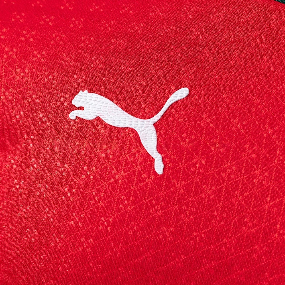 Portugal Jersey 2025/26 Home Football Kit Long Sleeves Player Version