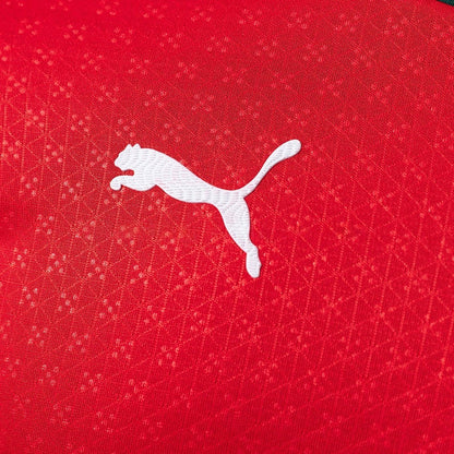 Portugal Jersey 2025/26 Home Football Kit Long Sleeves Player Version