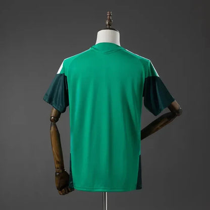 Algeria Training Jersey 2026 World Cup Football Kit Soccer Shirt