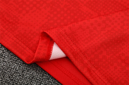 AC Milan Training Tracksuits 2025/26 Football Kit Soccer Jersey