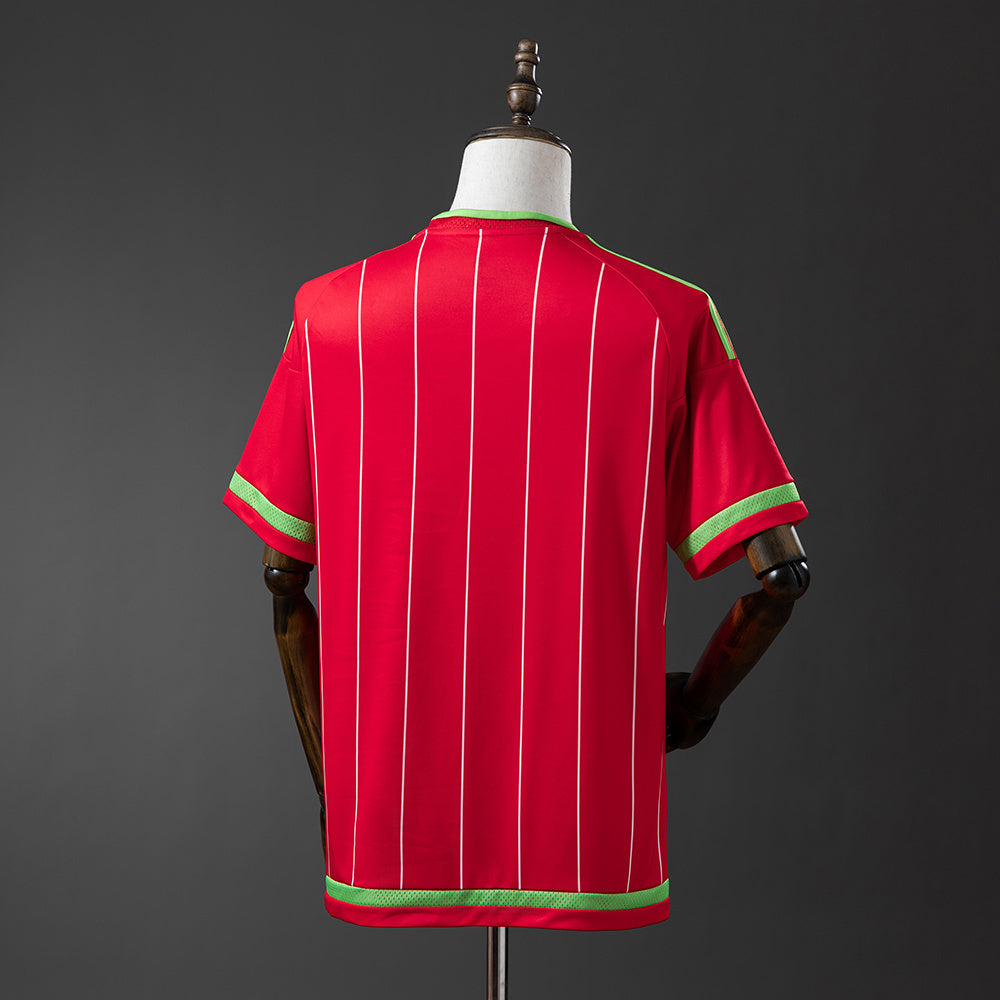 Wales Jersey 2015 Home Retro Football Kit