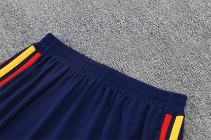 Spain Training Tracksuits 2026 Football Kit Soccer Shirt