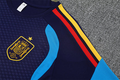 Spain Training Tracksuits 2026 Football Kit Soccer Shirt