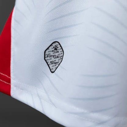 Jordan Home Jersey 2026 World Cup Football Kit Soccer Shirt