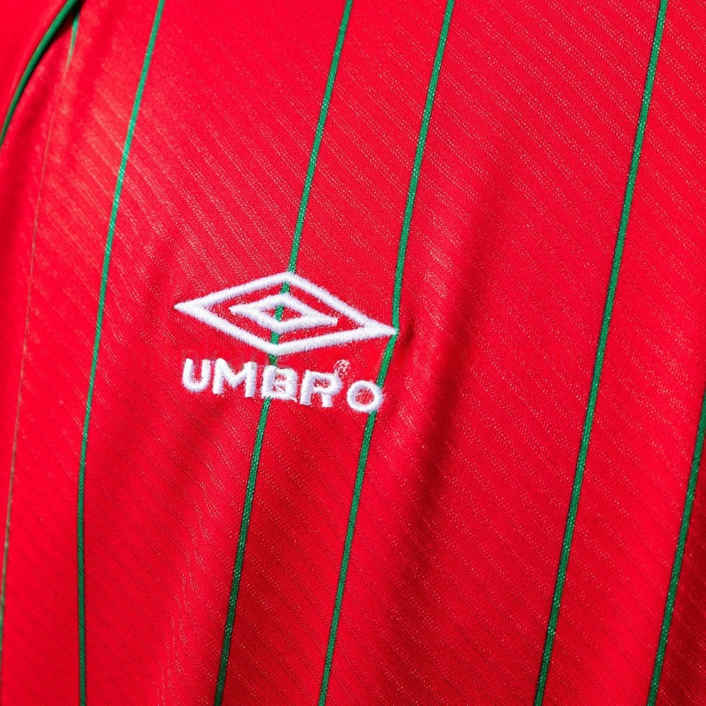 Wales Jersey 1994 Home Retro Football Kit