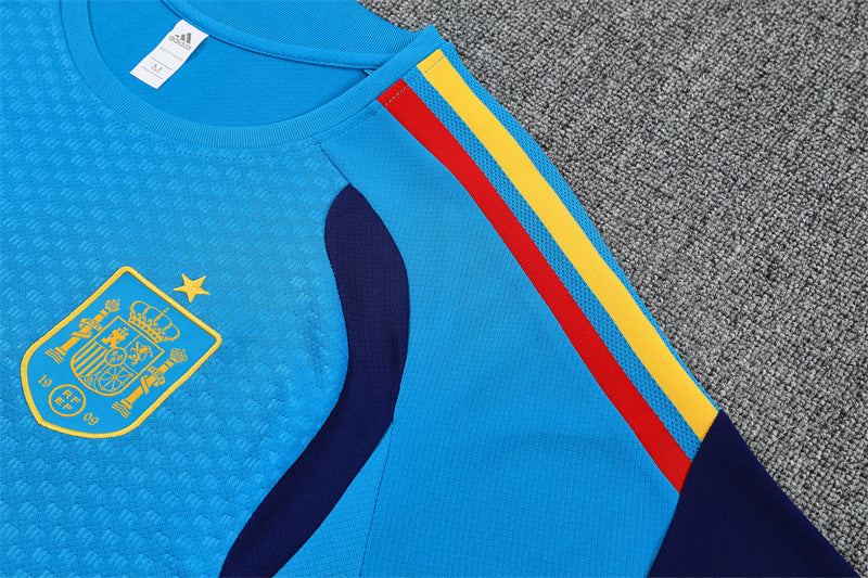 Spain Training Tracksuits 2026 Football Kit Soccer Shirt