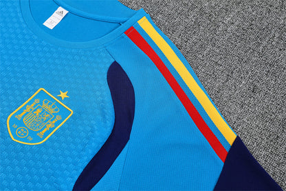 Spain Training Tracksuits 2026 Football Kit Soccer Shirt