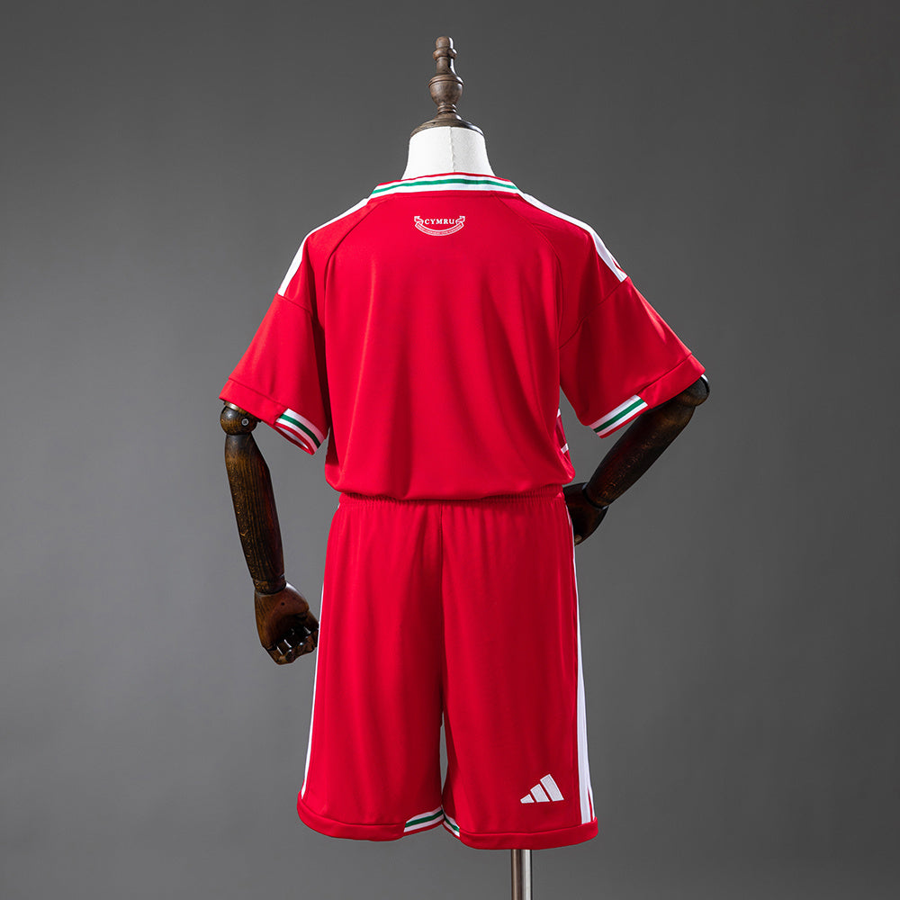 Kids Wales Jersey 2026 World Cup Home Football Kit