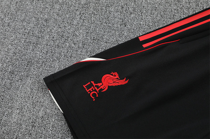 Liverpool Training Tracksuits 25/26 Football Kit Soccer Jersey