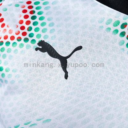 Portugal Jersey 2025/26 Away Football Kit Long Sleeves Player Version