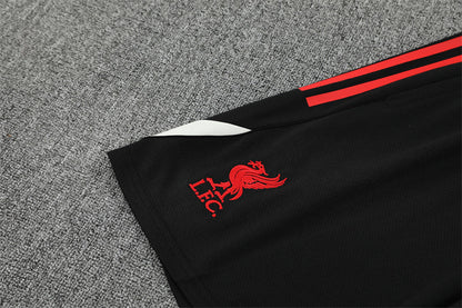 Liverpool Training Tracksuits 25/26 Football Kit Soccer Jersey