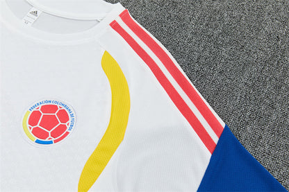 Colombia Training Tracksuits 2026 Football Kit Soccer Jersey