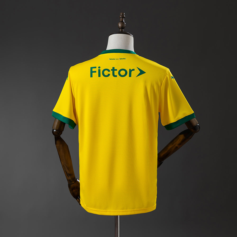 Palmeiras Jersey 2025/26 Third Football Kit