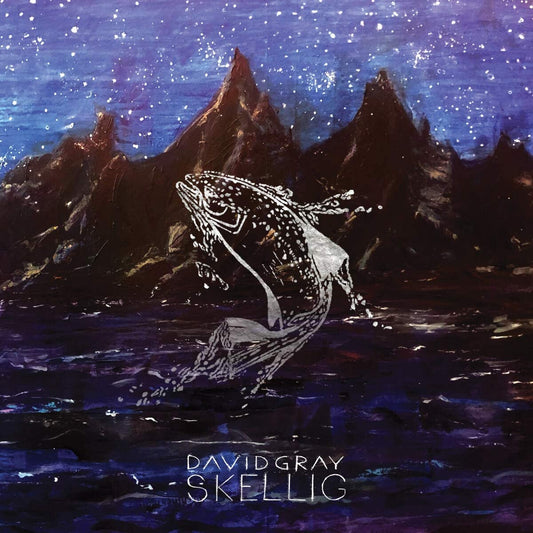 Skellig -  David Gray [VINYL]