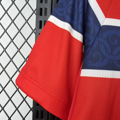 Norway Home Jersey 2026 World Cup Football Kit Soccer Jersey