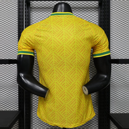 Player Version South Africa Home Jersey 2026 World Cup Football Kit Soccer Shirt