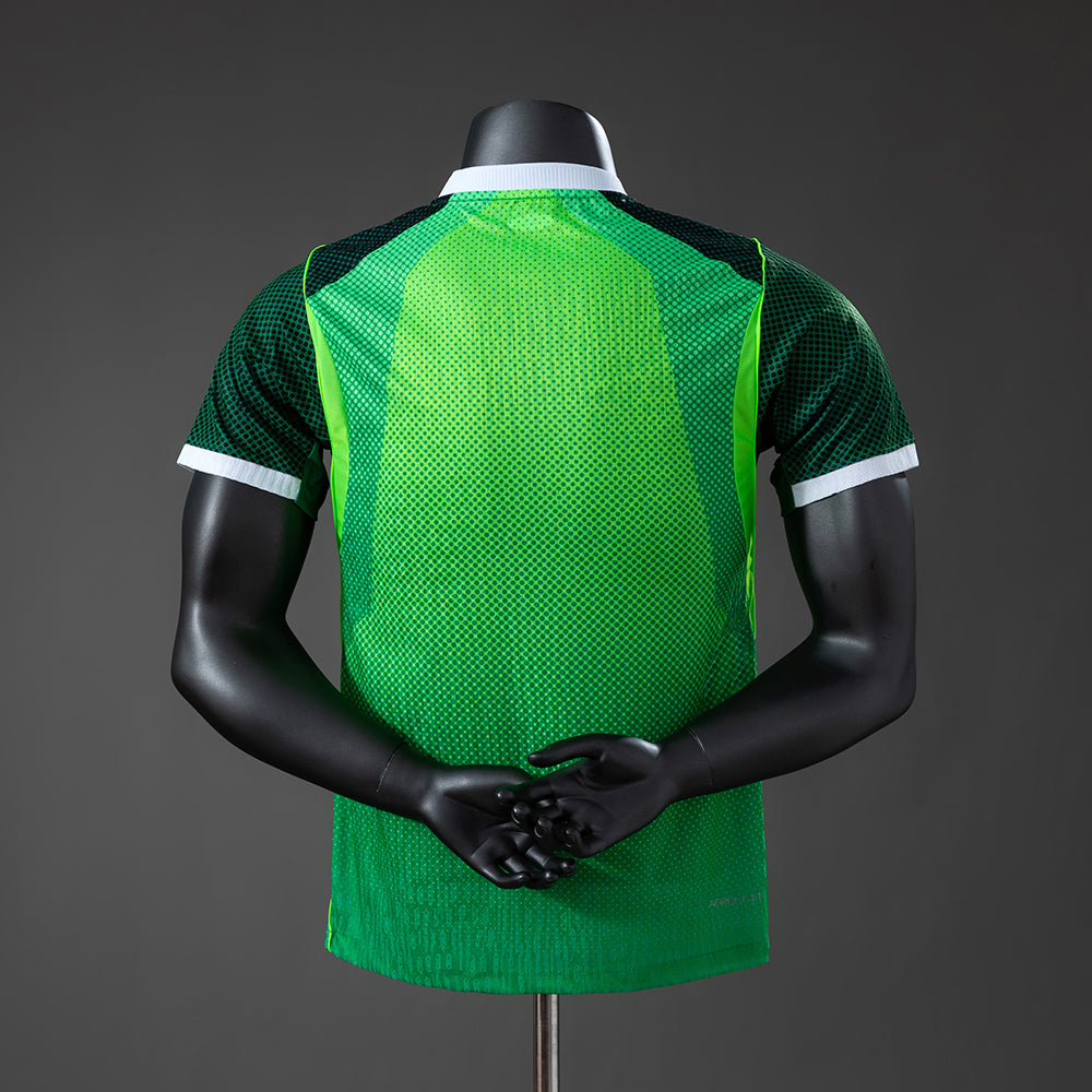 Player Version Nigeria Home Jersey 2026 Football Kit Soccer Shirt