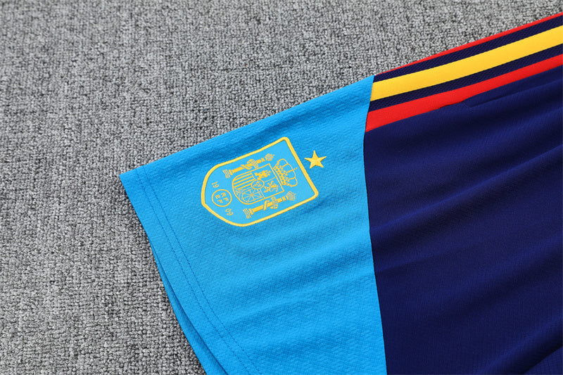 Spain Training Tracksuits 2026 Football Kit Soccer Shirt