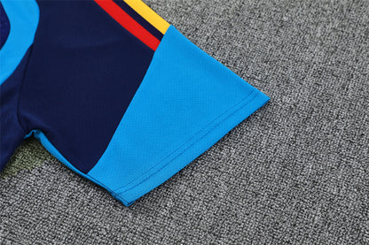 Spain Training Tracksuits 2026 Football Kit Soccer Shirt