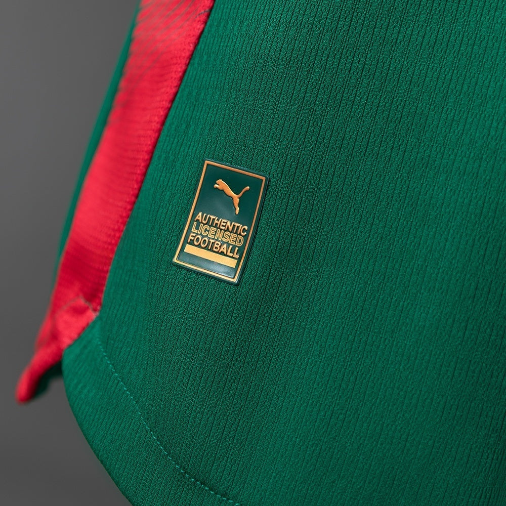 Player Version Palmeiras Home Jersey 2026/27 Football Kit Soccer Shirt