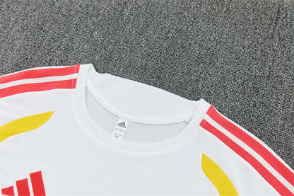 Colombia Training Tracksuits 2026 Football Kit Soccer Jersey