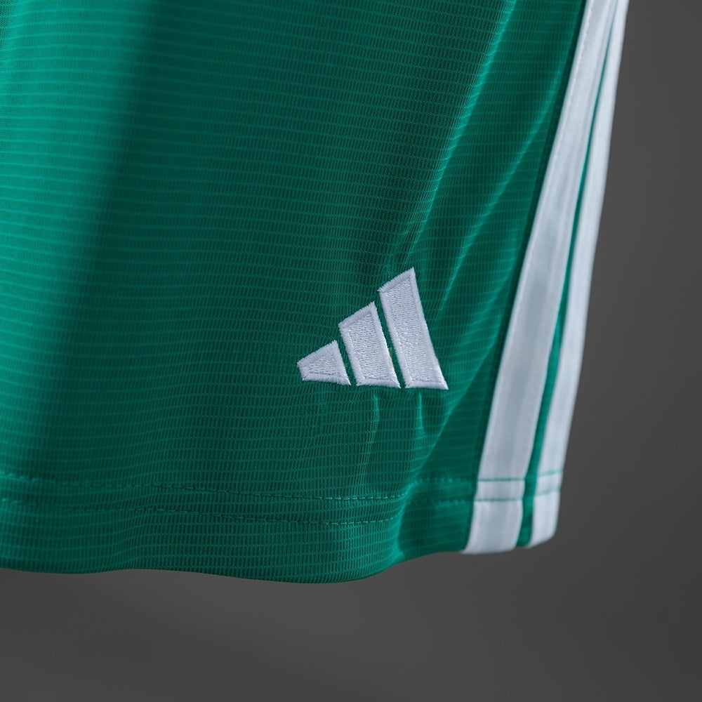 Northern Ireland Home Shorts 2026 Football Kit Soccer Shorts