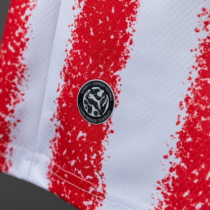Paraguay Away Jersey 2026 World Cup Football Kit Soccer Jersey
