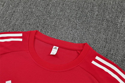 Liverpool Training Tracksuits 25/26 Football Kit Soccer Jersey
