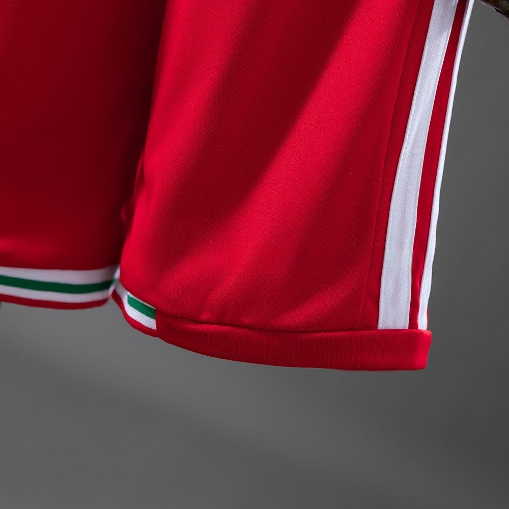 Kids Wales Jersey 2026 World Cup Home Football Kit