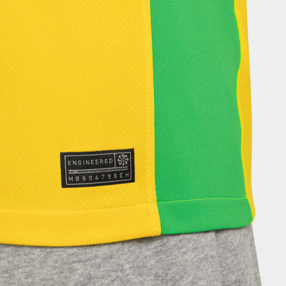 Nike Men's Brazil Stadium Home  2025 Jersey