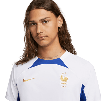 Nike France Strike Training Top