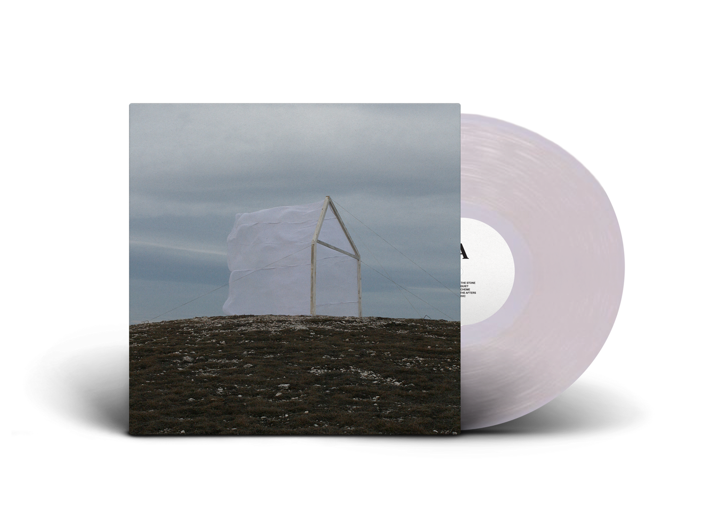 Carving The Stone (Indie Crystal Clear Edition) - For Those I Love [Colour Vinyl]