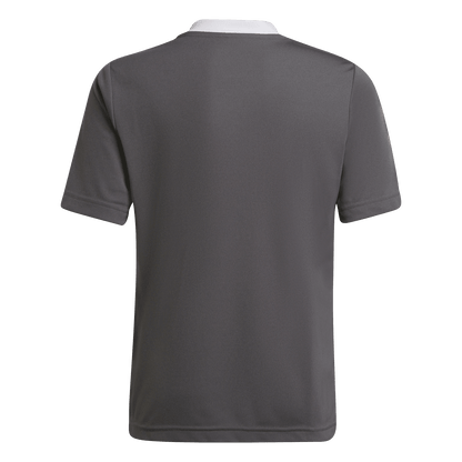 adidas Youth Entrada 22 Jersey - Grey