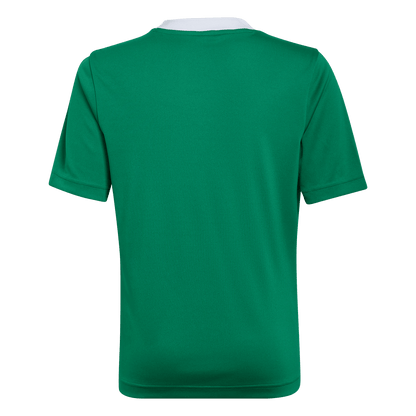 adidas Youth Entrada 22 Jersey - Green