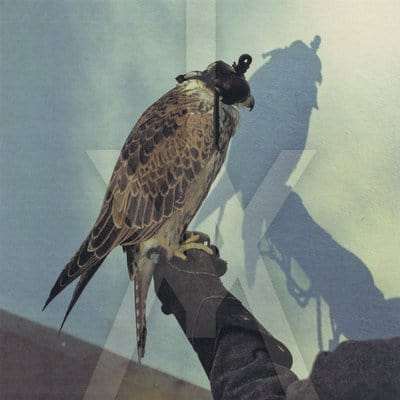 You're Nothing - Iceage [VINYL]