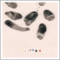 Impressions:   - Tall Ships [VINYL Limited Edition]