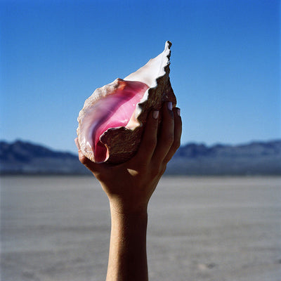 Wonderful Wonderful - The Killers [VINYL]