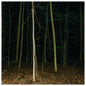 Fixed Rope II - Express Rising [VINYL Limited Edition]